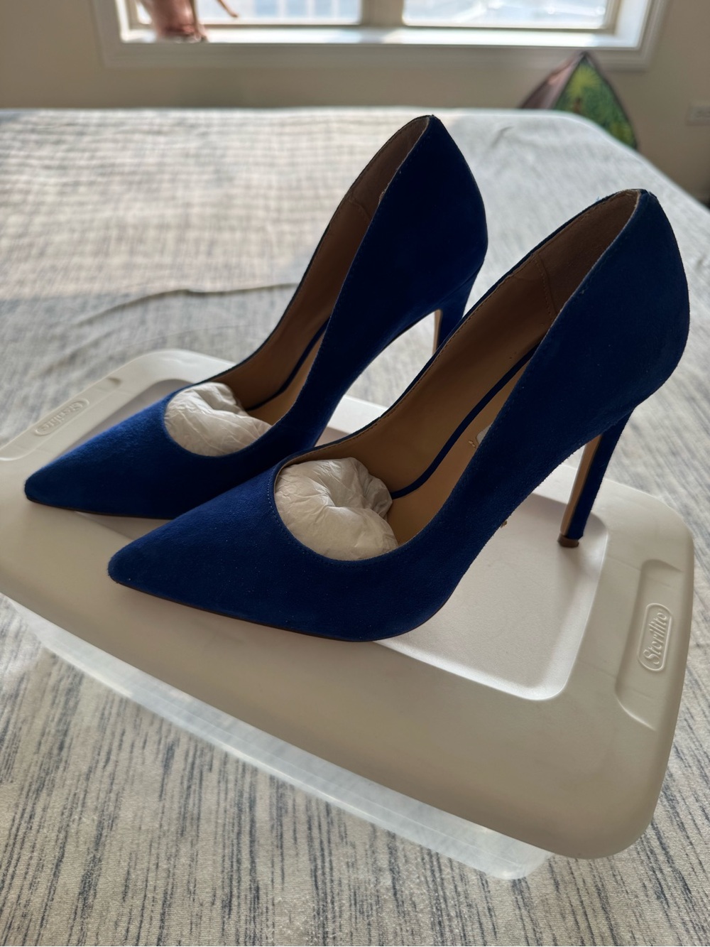Steve Madden Women's Pointed Toe Stiletto Heels in Cobalt Blue